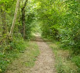 PK5 2514 : 3 Stars, High Quality, In Focus, Low Contrast, RAW, Standen