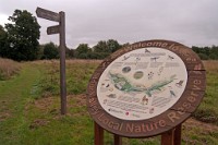 K20D2130 edited-1 : 3 Stars, RAW, Stour Valley River