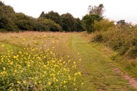 K20D2132 edited-1 : 3 Stars, RAW, Stour Valley River