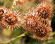 K20D2145 edited-1 : 3 Stars, RAW, Stour Valley River