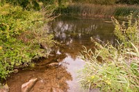 K20D2146 edited-1 : 3 Stars, RAW, Stour Valley River