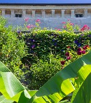 PK5 3443 : 3 Stars, RAW, Stresa