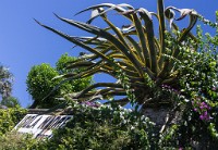 PK5 3513 : 3 Stars, RAW, Stresa