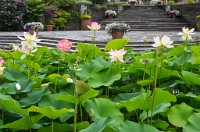 PK5 3951 : 3 Stars, RAW, Stresa