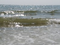 IMG 0070  Sparkling Sea 1