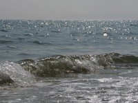 IMG 0074  Sparkling Sea 3