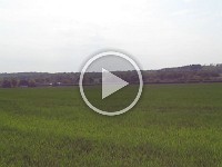 MVI 0176  640x480 HQ Movie Good Manual White Balance