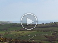 MVI 0201  640x480 LP Movie Bad Auto White Balance