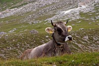 K20D0594 edited-1 : 3 Stars, RAW