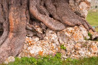 K20D0620 edited-1 : 3 Stars, RAW