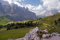 K20D0701 edited-1 : 3 Stars, RAW, Selva 2009