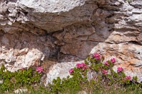 K20D0734 edited-1 : 3 Stars, RAW, Selva 2009