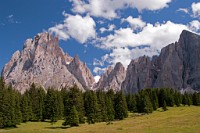 K20D0779 edited-1 : 3 Stars, RAW, Selva 2009