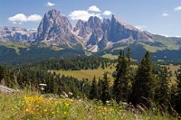 K20D0829 edited-1 : 3 Stars, RAW, Selva 2009