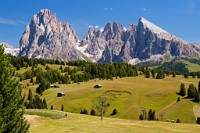 K20D0830 edited-1 : 3 Stars, RAW, Selva 2009