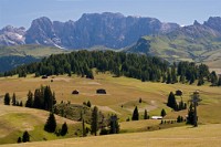 K20D0831 edited-1 : 3 Stars, RAW, Selva 2009