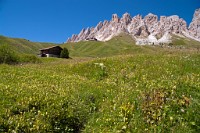 K20D0864 edited-1 : 3 Stars, RAW, Selva 2009