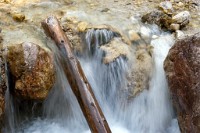 K20D0885 edited-1 : 4 Stars, RAW, Selva 2009