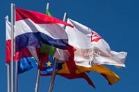 K20D0962 edited-1 : 4 Stars, RAW, Selva 2009