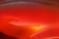 IMGP4032 edited-1 : 4 Stars, RAW