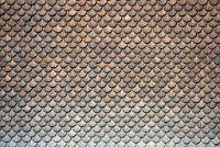 IGP2459 edited-1 : 3 Stars, RAW, Weggis