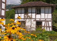 IGP2504 edited-1 : 4 Stars, RAW, Weggis