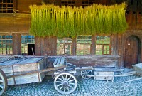 IGP2533 edited-1 : 4 Stars, RAW, Weggis