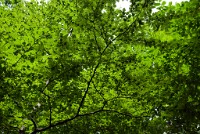 IGP2676 edited-1 : 3 Stars, RAW, Weggis