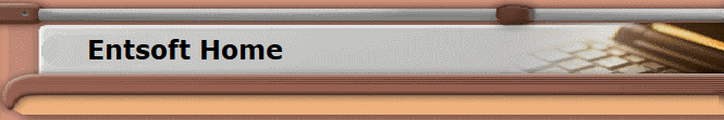 Entsoft Home